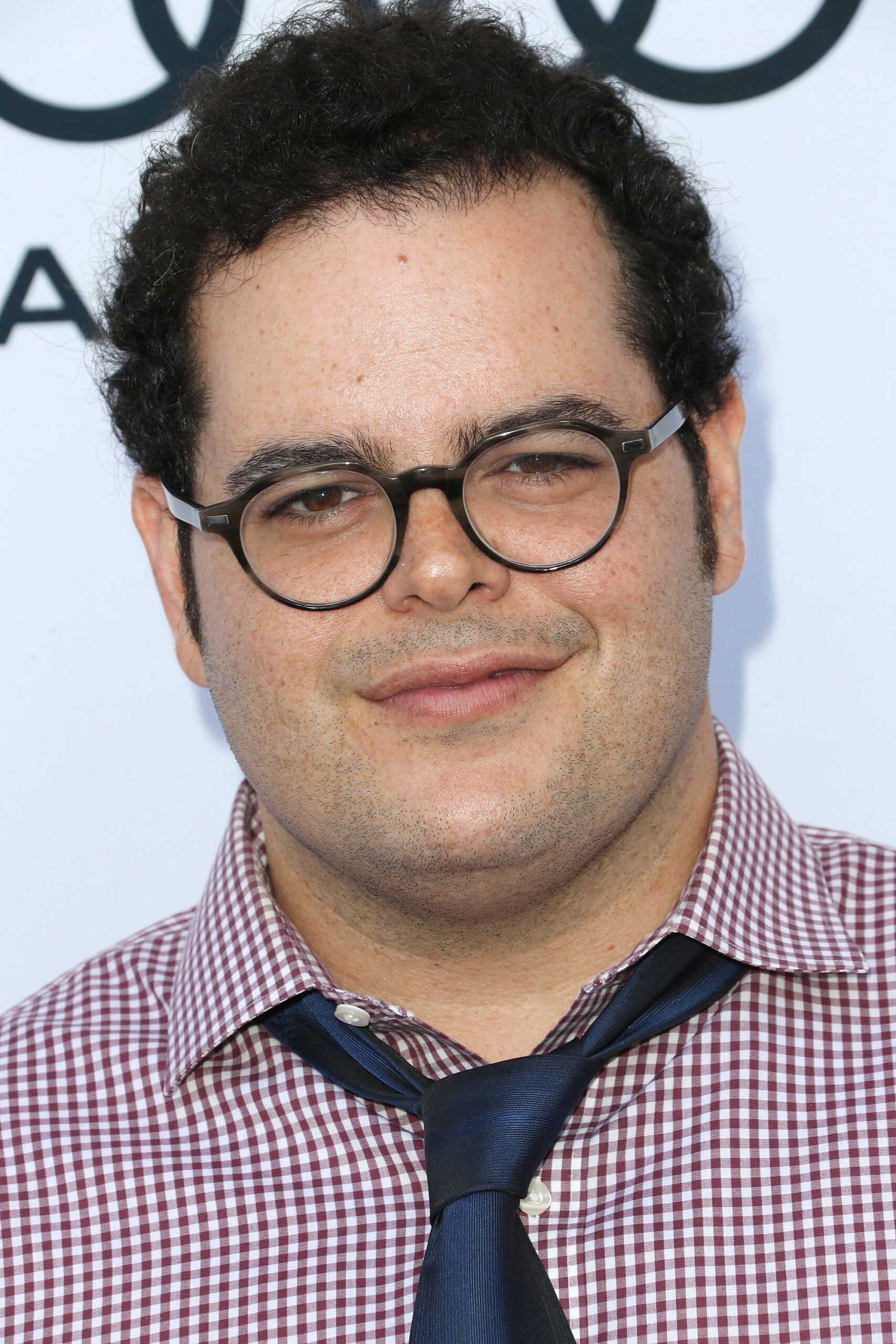 Josh Gad : Photo officielle