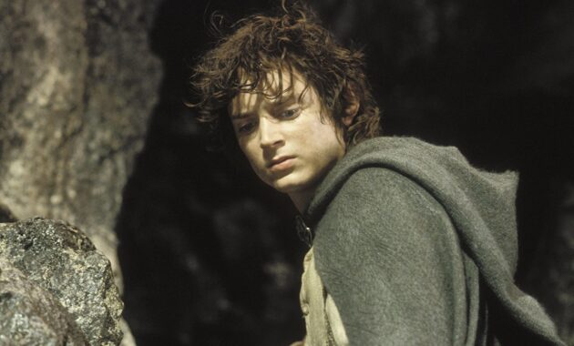 Le Seigneur des Anneaux : Le retour du roi : photo, Elijah Wood