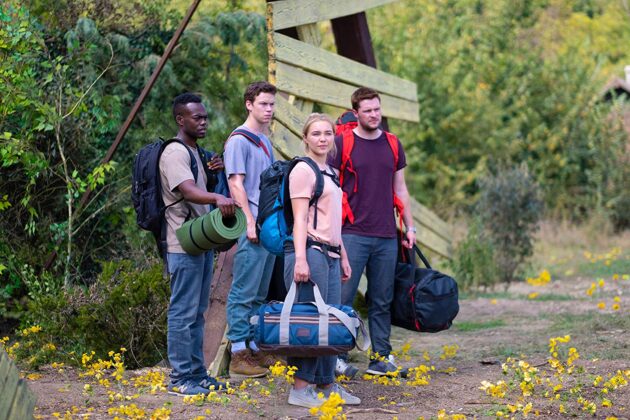 photo, Florence Pugh, Jack Reynor, William Jackson Harper, Will Poulter