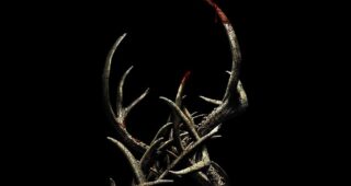 Antlers : photo Antlers